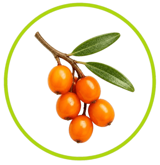 Sea buckthorn